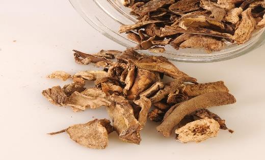 Dried Porcini Mushrooms