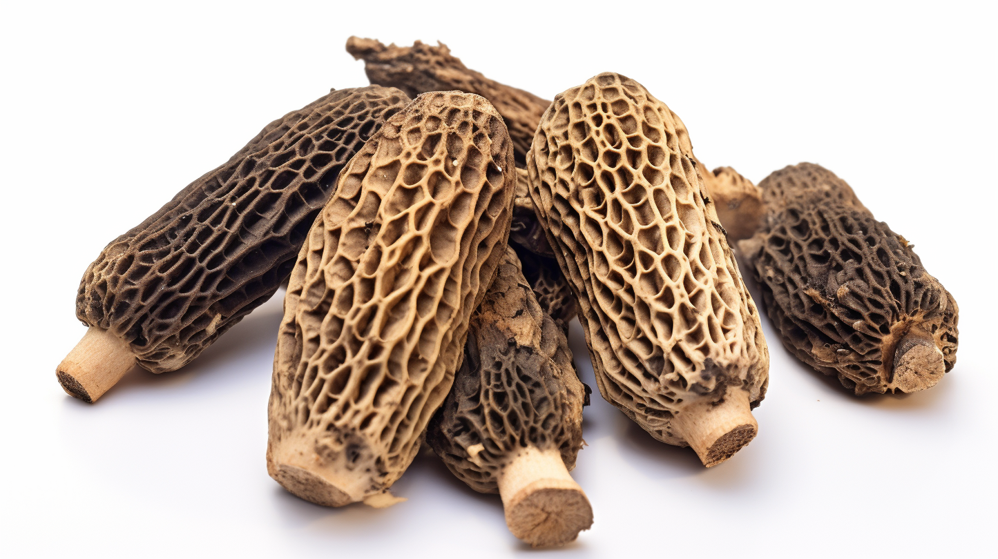 Morel Mushroom Whole Dried 30g