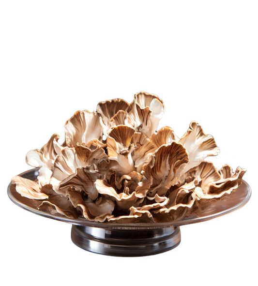 Maitake Mushroom Whole Dried 40g