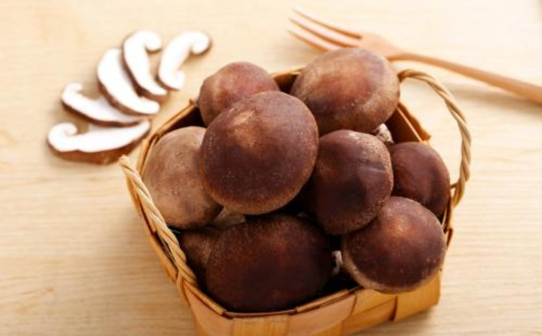 Shiitake Mushroom Whole Dried 70g