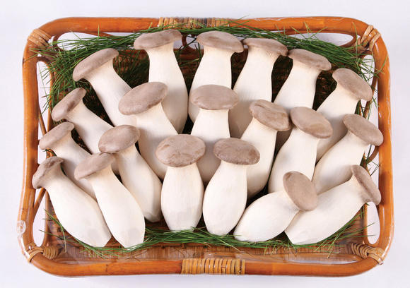 King Oyster Mushroom Sliced Dried 45g