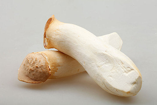 King Oyster Mushroom Sliced Dried 45g