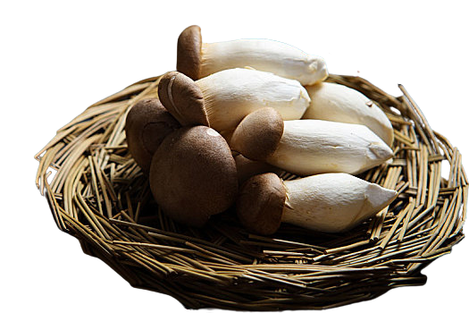 King Oyster Mushroom Sliced Dried 45g