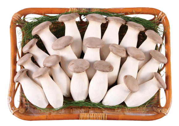 King Oyster Mushroom Sliced Dried 45g