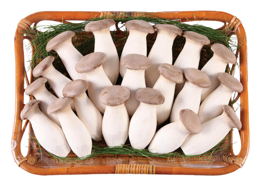 King Oyster Mushroom Sliced Dried 45g